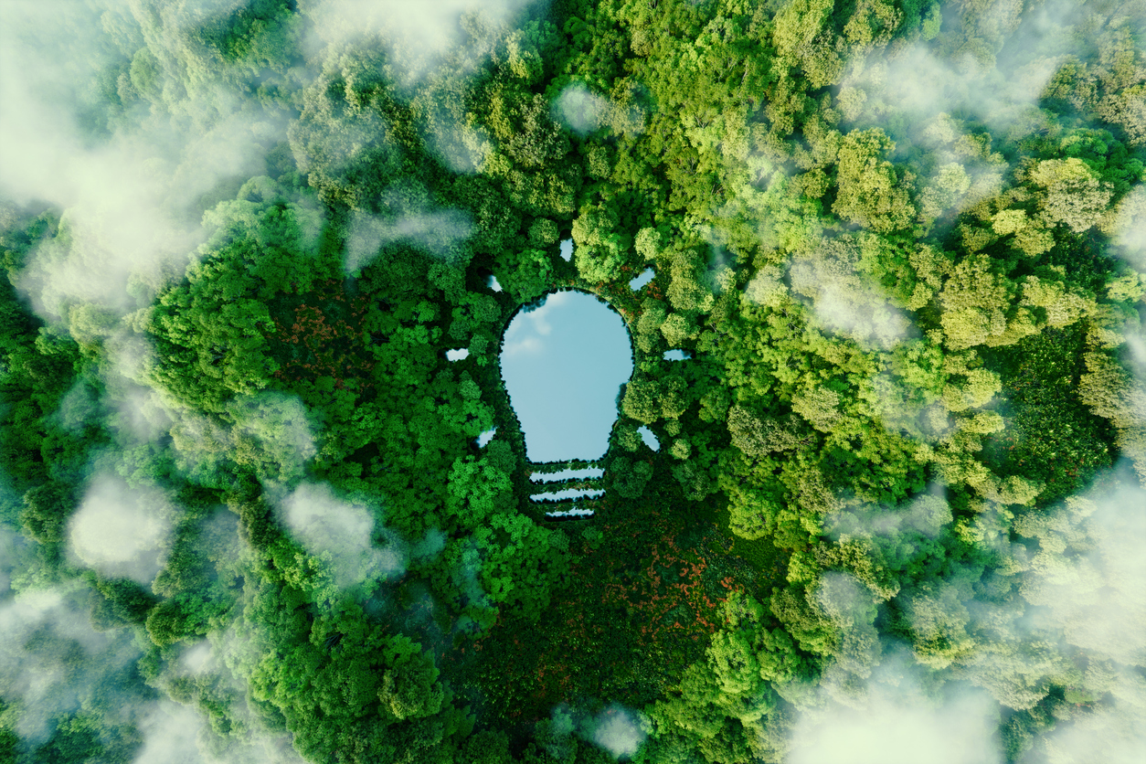 Electric sustainability goals